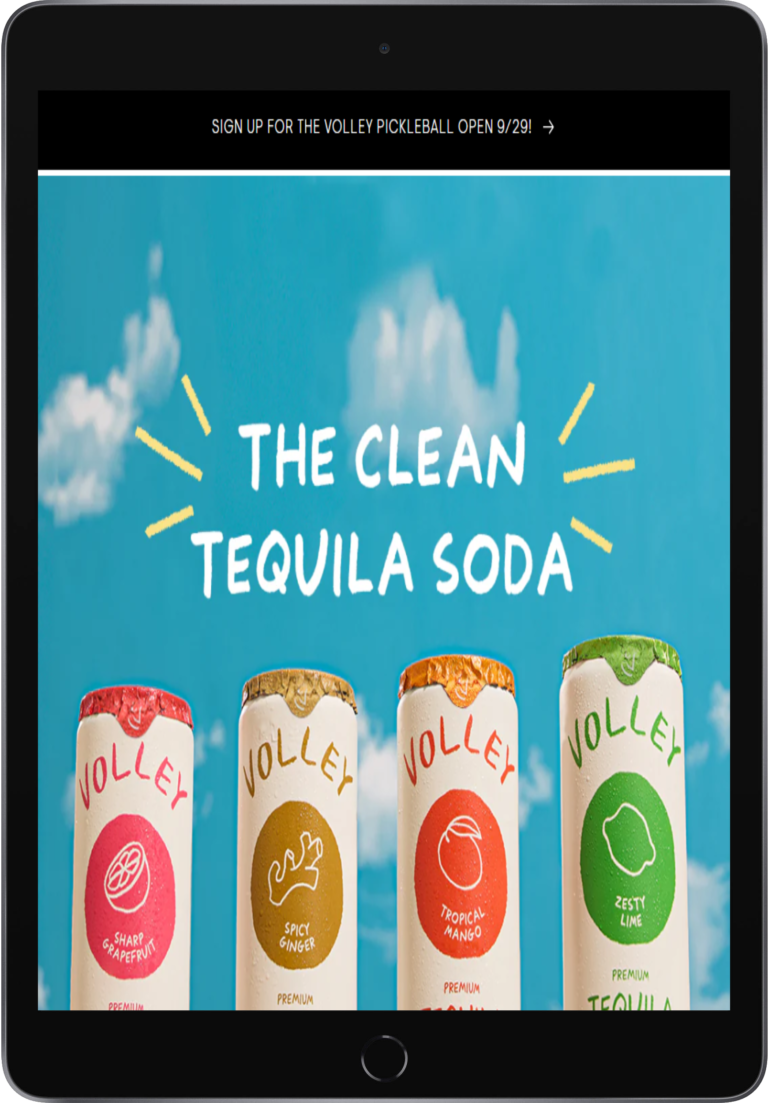 drinkvolley.com